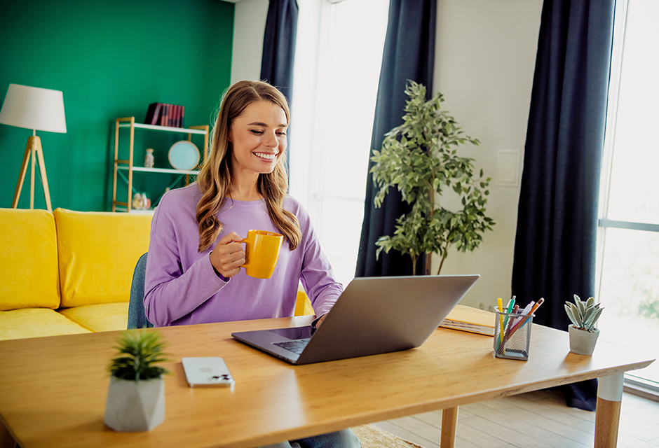 Tax professional reviewing IRS e-file application on e-Services portal to verify EFIN, responsible official and security compliance.