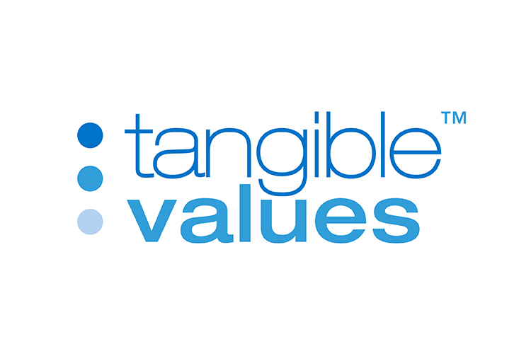 Tangible Values logo – Tax and client communication software for NATP preparers
